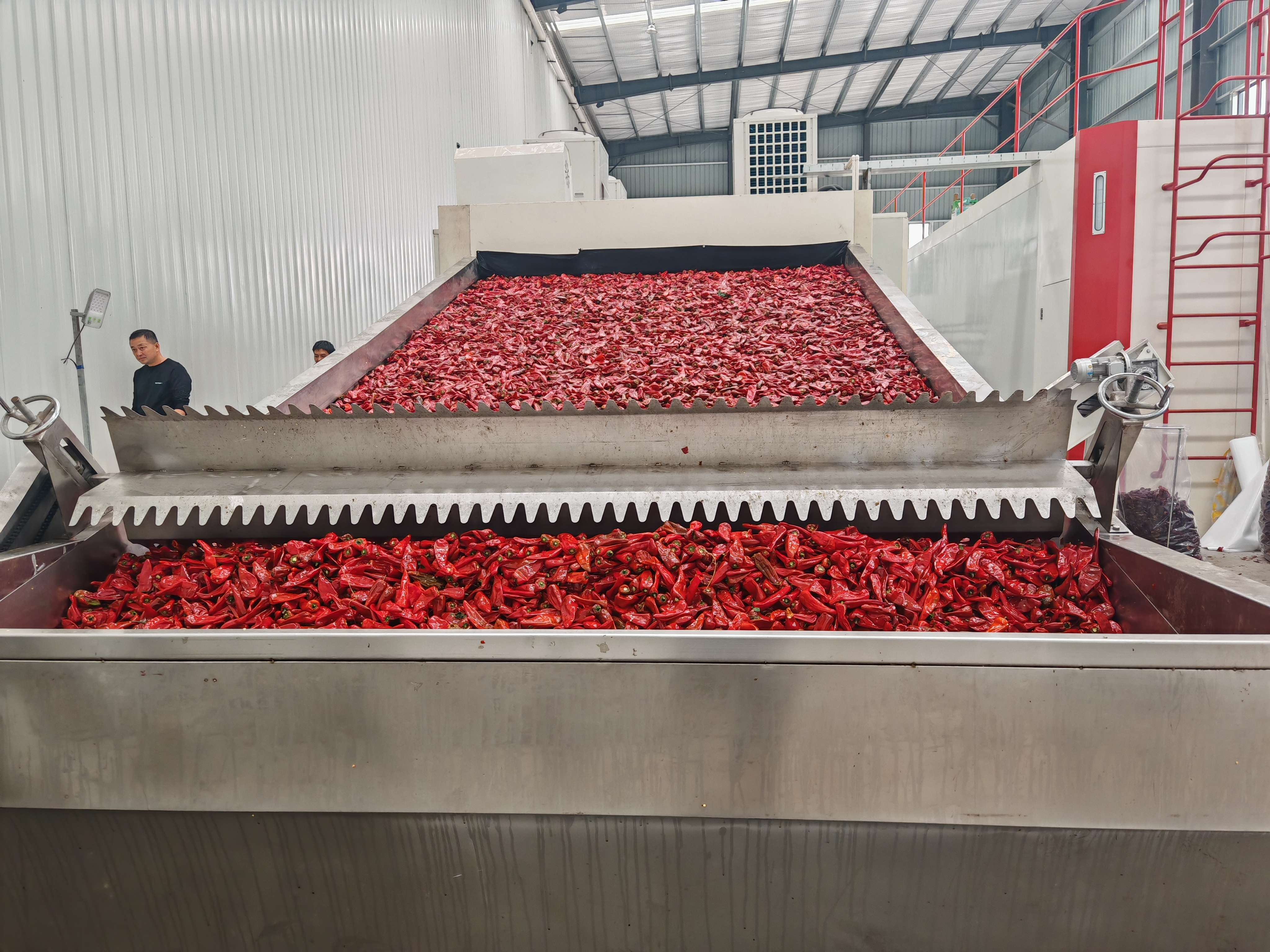 網(wǎng)帶式辣椒烘干機(jī)助力辣椒產(chǎn)業(yè)轉(zhuǎn)型升級(jí)！