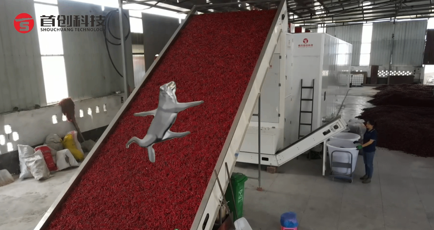 報(bào)告！順拐狼到工廠(chǎng)啦！跟它一起逛逛吧！