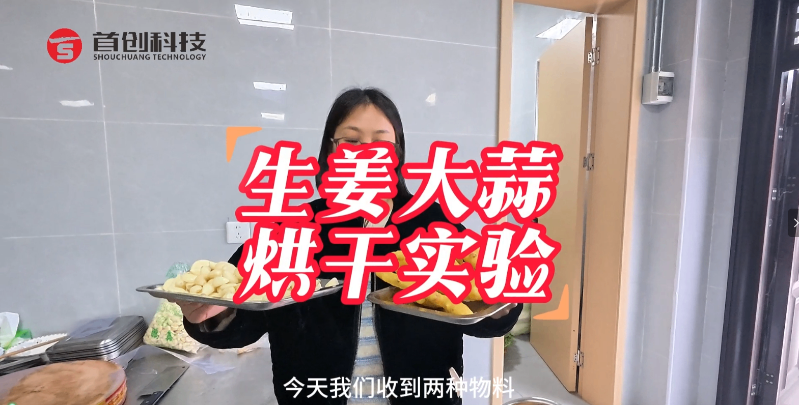 生姜、大蒜烘干實(shí)驗(yàn)實(shí)拍， 需要烘干機(jī)可發(fā)相關(guān)實(shí)驗(yàn)物料過(guò)來(lái)