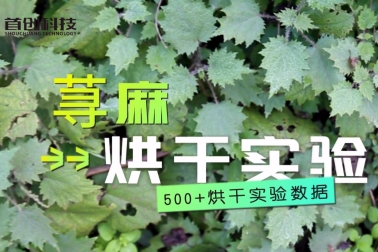 太綠了！萬(wàn)物皆可烘之蕁麻烘干效果實(shí)拍~