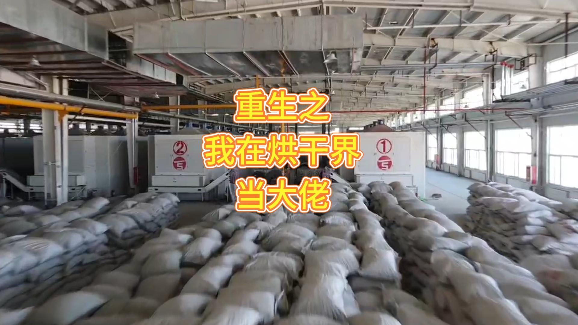 重生之我在烘干屆當(dāng)大佬