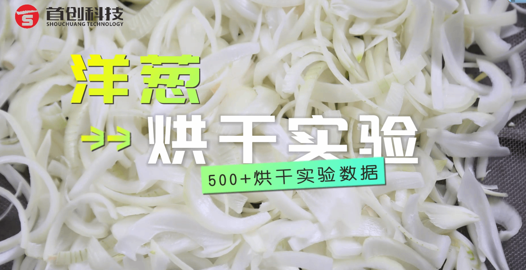 萬(wàn)物皆可烘 | 洋蔥烘干大揭秘