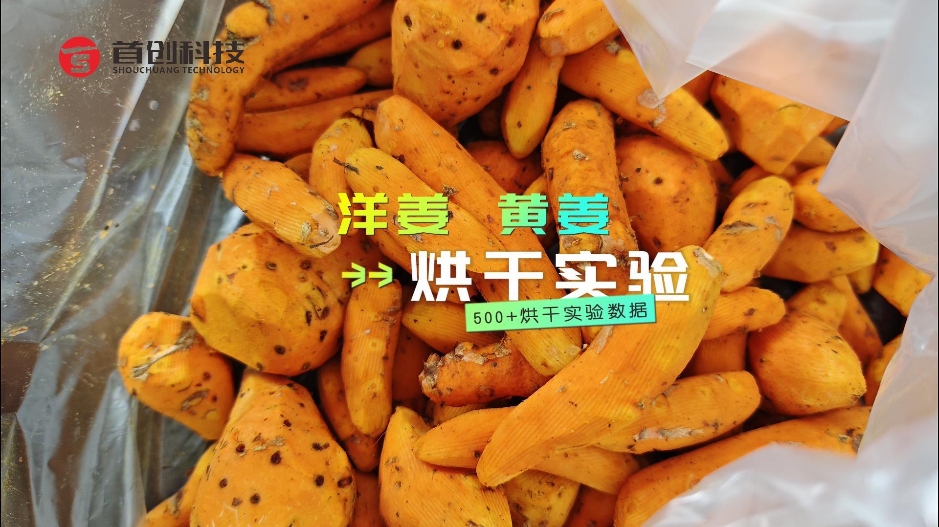 洋姜、姜黃烘干實(shí)驗(yàn)，大家看看烘干后效果如何？