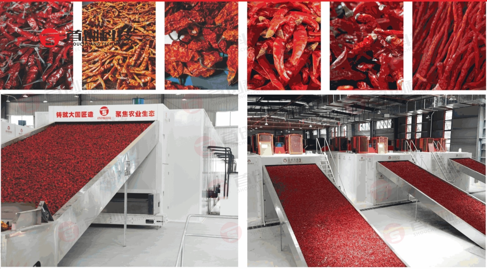 辣味濃、色澤亮！烘干就選網(wǎng)帶式辣椒烘干機(jī)