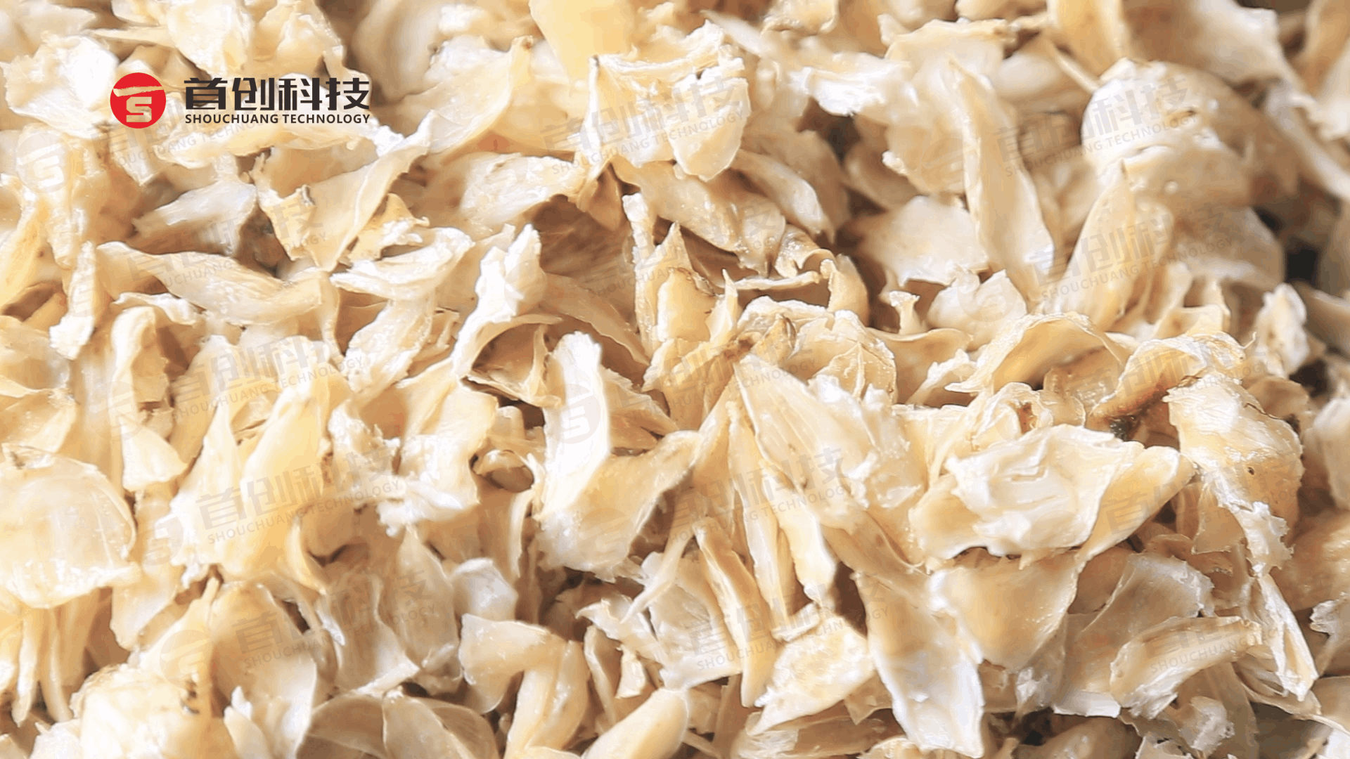 南充烘干廠(chǎng)家-百合烘干機(jī)教你如何烘出白凈的百合干