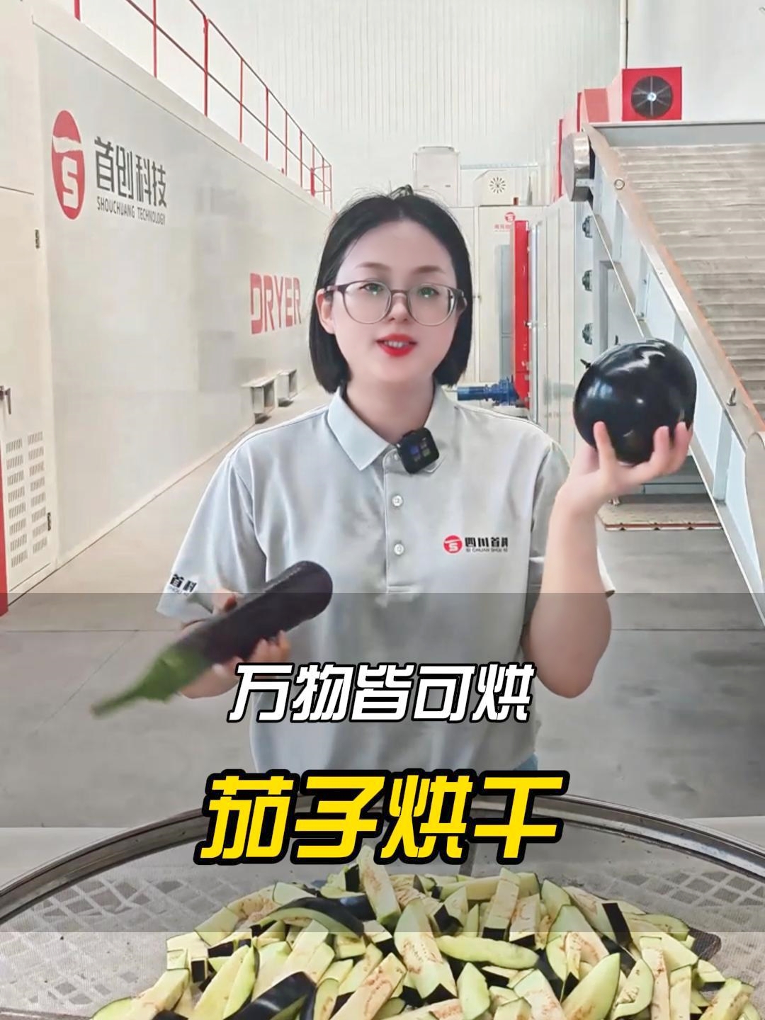 萬(wàn)物皆可烘之茄子篇：如何讓茄干不翻車(chē)？