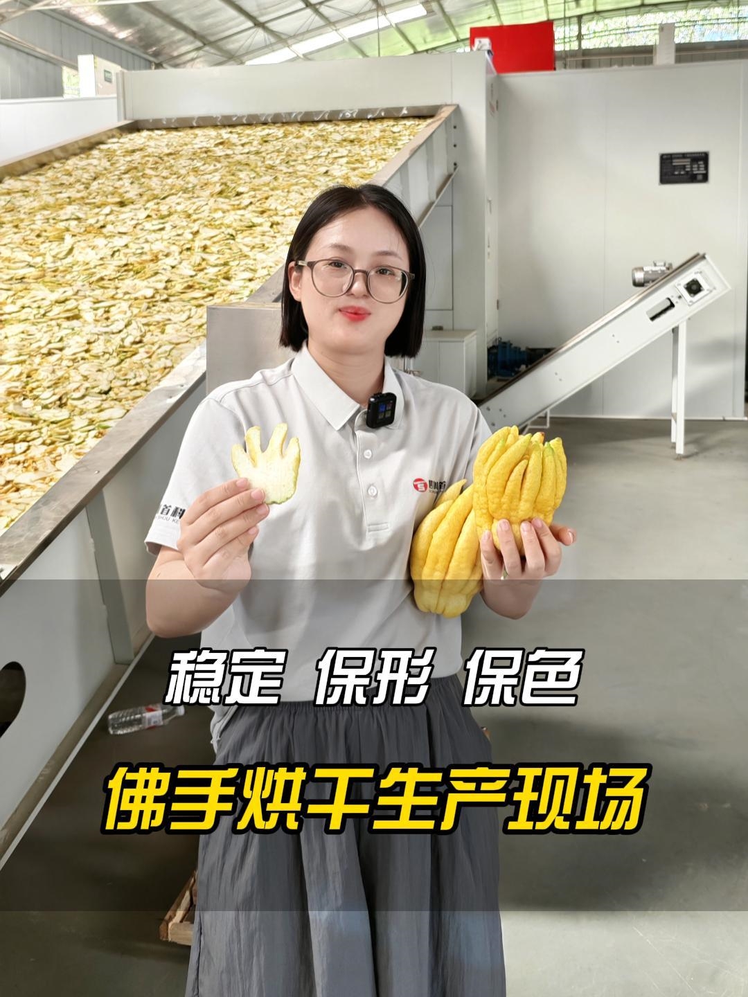 科技賦能鎖香保色！網(wǎng)帶式佛手烘干機(jī)烘干現(xiàn)場(chǎng)