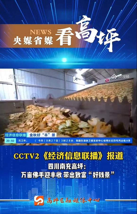 網(wǎng)帶式佛手烘干機(jī)榮獲央視報(bào)道，萬(wàn)畝佛手豐收迎“好錢(qián)景”,轉(zhuǎn)自：CCTV2《經(jīng)濟(jì)信息聯(lián)播》