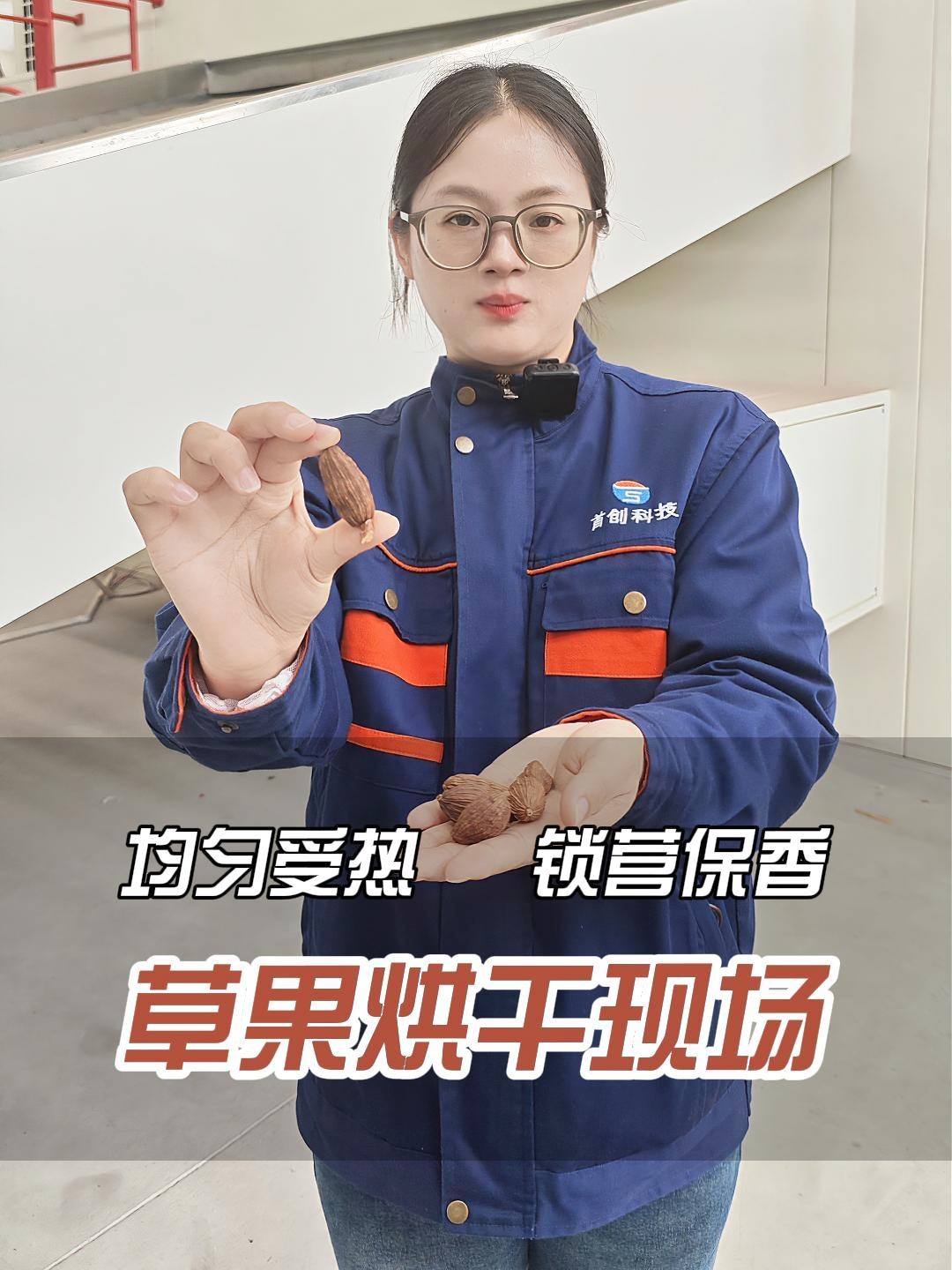 烘干現(xiàn)場(chǎng)直擊：網(wǎng)帶式草果烘干機(jī)，24小時(shí)連續(xù)出料！