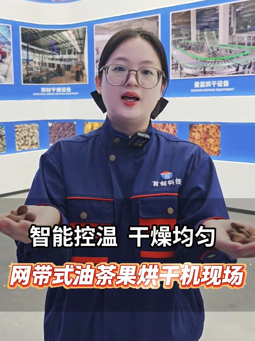 智能控溫，干燥均勻！多條網(wǎng)帶式油茶果爆蒲烘干生產(chǎn)線(xiàn)運(yùn)行現(xiàn)場(chǎng)！