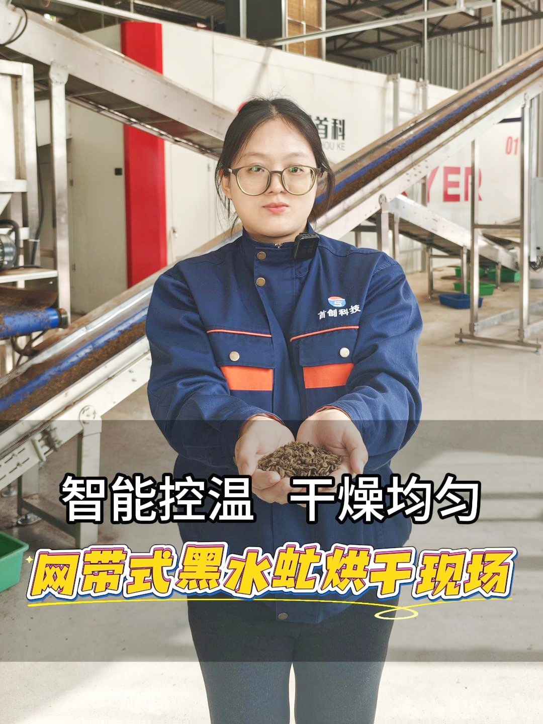 實(shí)地探訪(fǎng)智能網(wǎng)帶式黑水虻烘干機(jī)現(xiàn)場(chǎng)