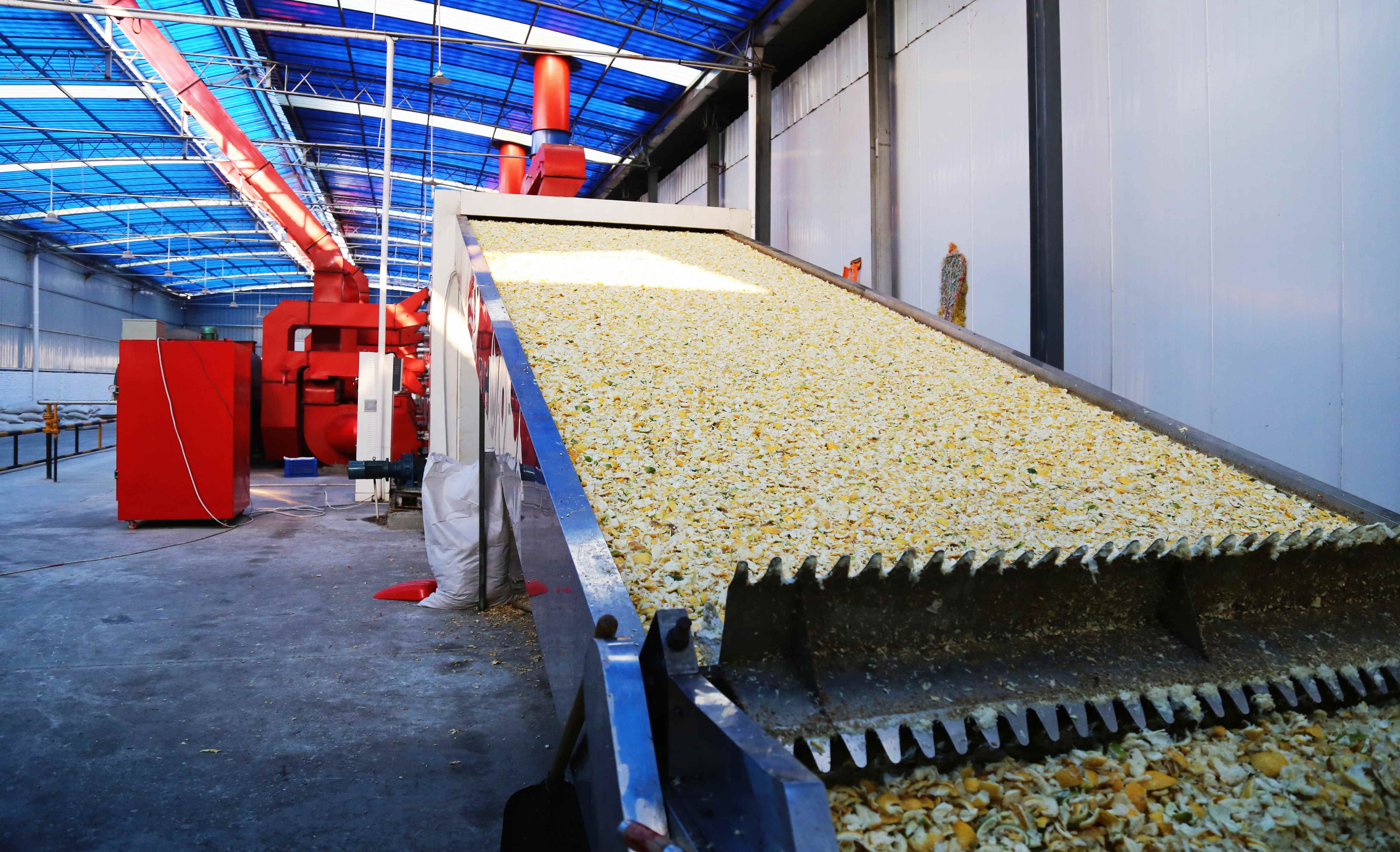 連續(xù)作業(yè)，批量處理：網(wǎng)帶式果渣烘干機(jī)