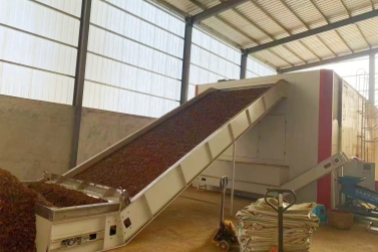 動(dòng)態(tài)循環(huán)，熱風(fēng)穿透！網(wǎng)帶式黃連烘干機(jī)運(yùn)行現(xiàn)場(chǎng)來(lái)了