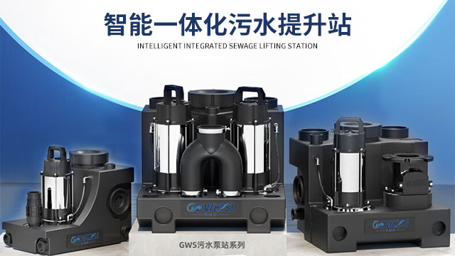 上海負(fù)一層地下室污水提升泵提升器 格威斯實(shí)業(yè)供應(yīng)