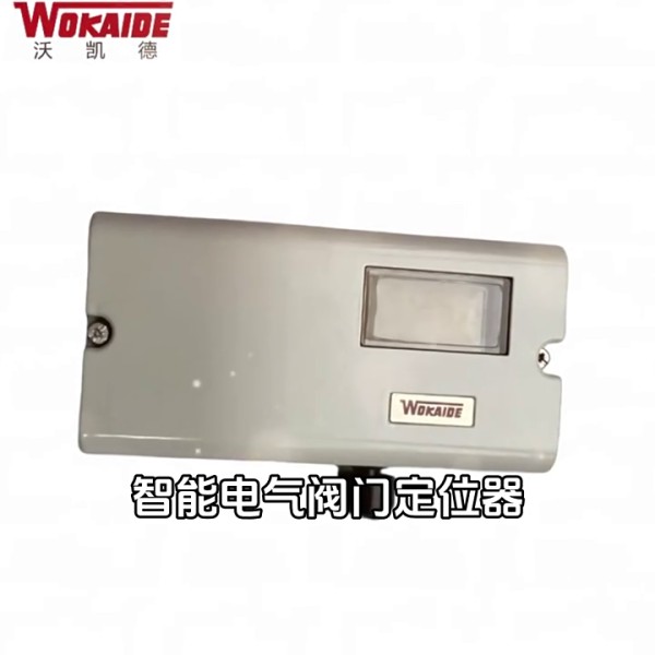 智能電氣閥門定位器TZED120