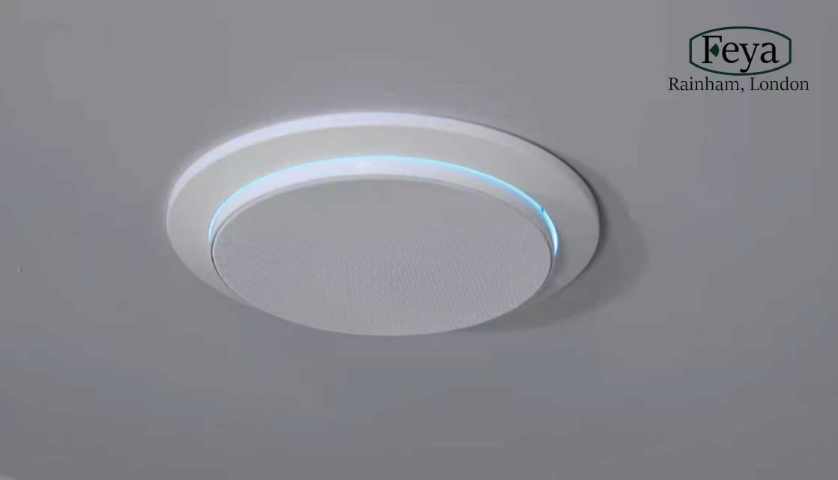 陜西feya音響哪家好 嘉興市彩音電聲科技供應(yīng)