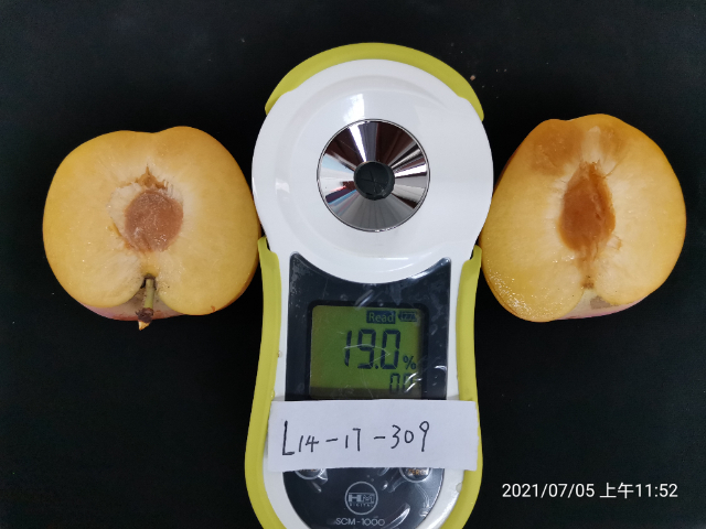 西安早熟李種苗產(chǎn)量 來(lái)電咨詢 西安豐園果業(yè)科技供應(yīng)