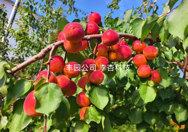 from clipboard from clipboard