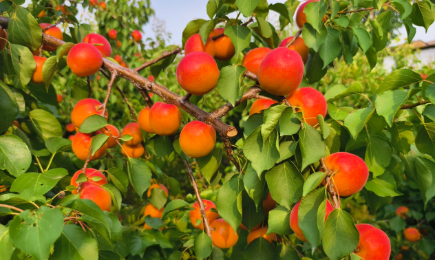 from clipboard from clipboard