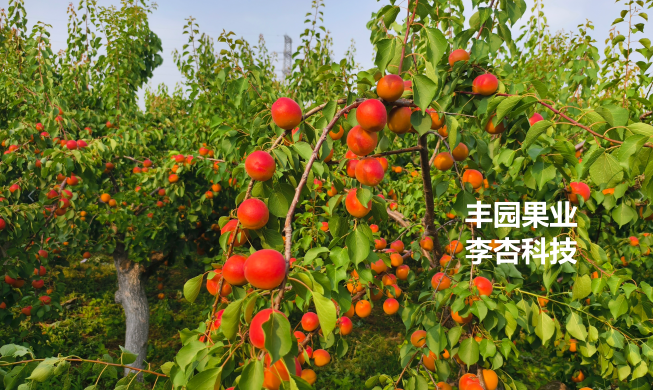 from clipboard from clipboard