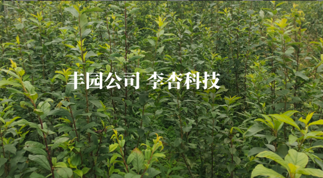 綠色果業先鋒載譽前行 躋身三大產業聯盟理事行列