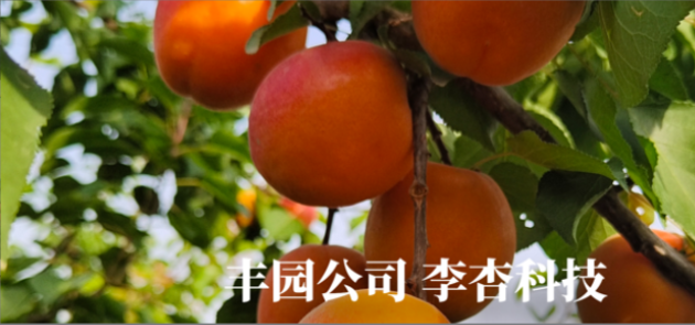 農高會聚焦種業創新，豐園果業8個審定品種引關注?