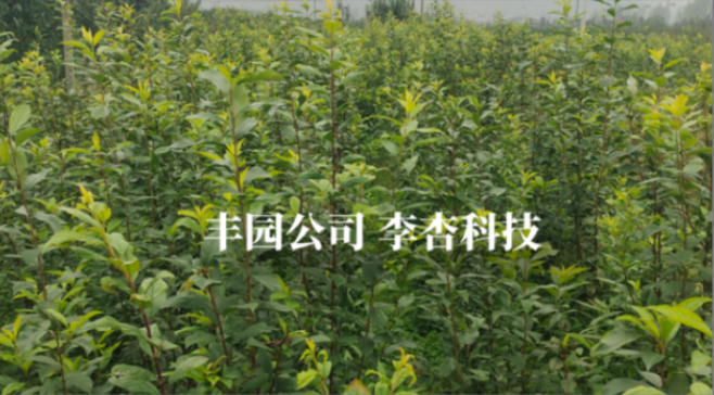 農高會聚焦綠色農業，豐園果業15年認證品質過硬