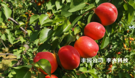 from clipboard from clipboard