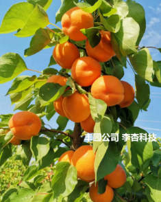 from clipboard from clipboard