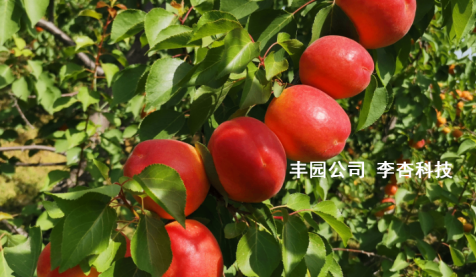 from clipboard from clipboard