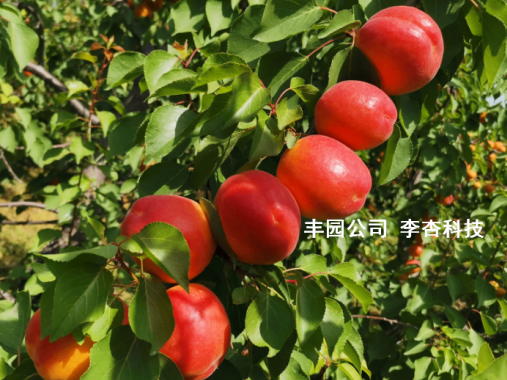 from clipboard from clipboard