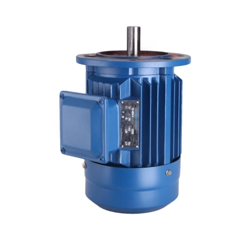 AC induction electric motor AC induction electric motor