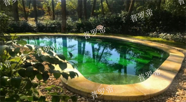 酒店泳池消毒设备