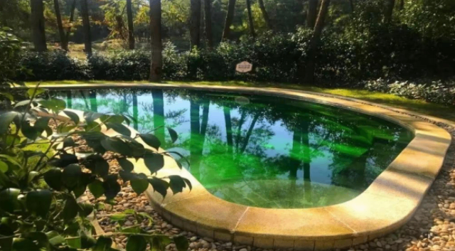 四川健身房泳池改造升級 歡迎來電 四川普羅帝泳池浴室設(shè)備安裝供應(yīng)