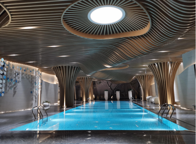 四川溫泉建造公司 推薦咨詢 四川普羅帝泳池浴室設(shè)備安裝供應(yīng)