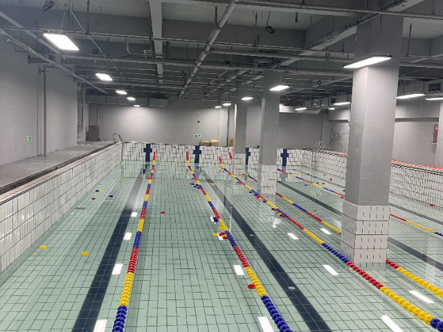 四川室內泳池工程公司 真誠推薦 四川普羅帝泳池浴室設備安裝供應