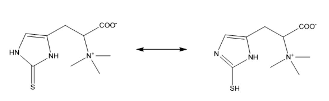 Ergothioneine / EGT