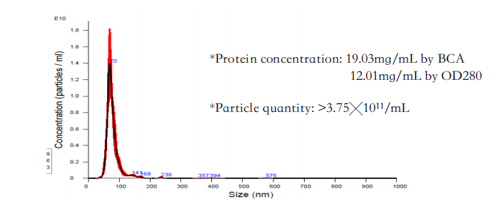 VESICLES SPECIFICATION VESICLES SPECIFICATION