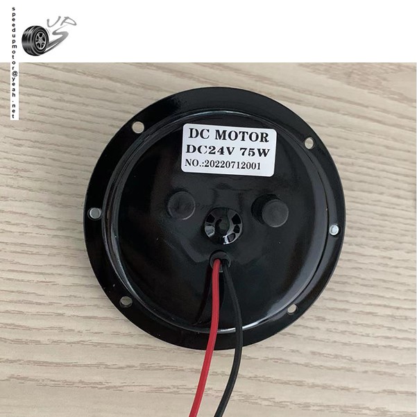 12V Brushless DC Motor