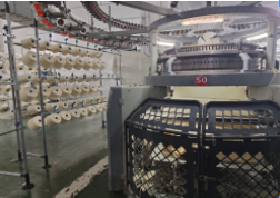 Jiangxi Shengshi Qihang Factory