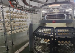 Jiangxi Shengshi Qihang Jiangxi Shengshi Qihang