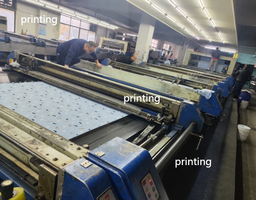 Jiangxi Shengshi Qihang Jiangxi Shengshi Qihang