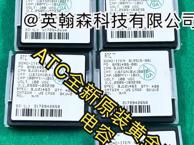 116TJ300J100TT 深圳市英翰森科技供应