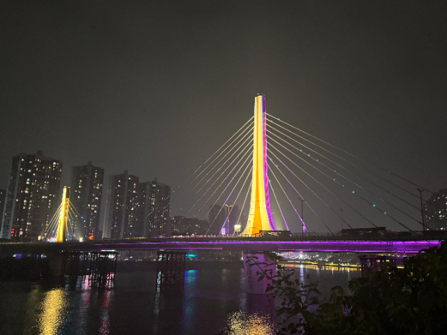 四川LED腰鼓灯批发价格 城市光匠供应
