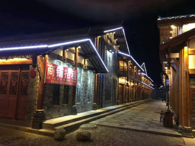 遂寧LED照樹燈工程公司,燈