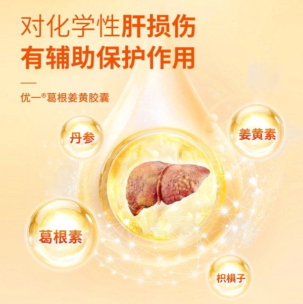 優(yōu)一?葛根姜黃枳椇子膠囊