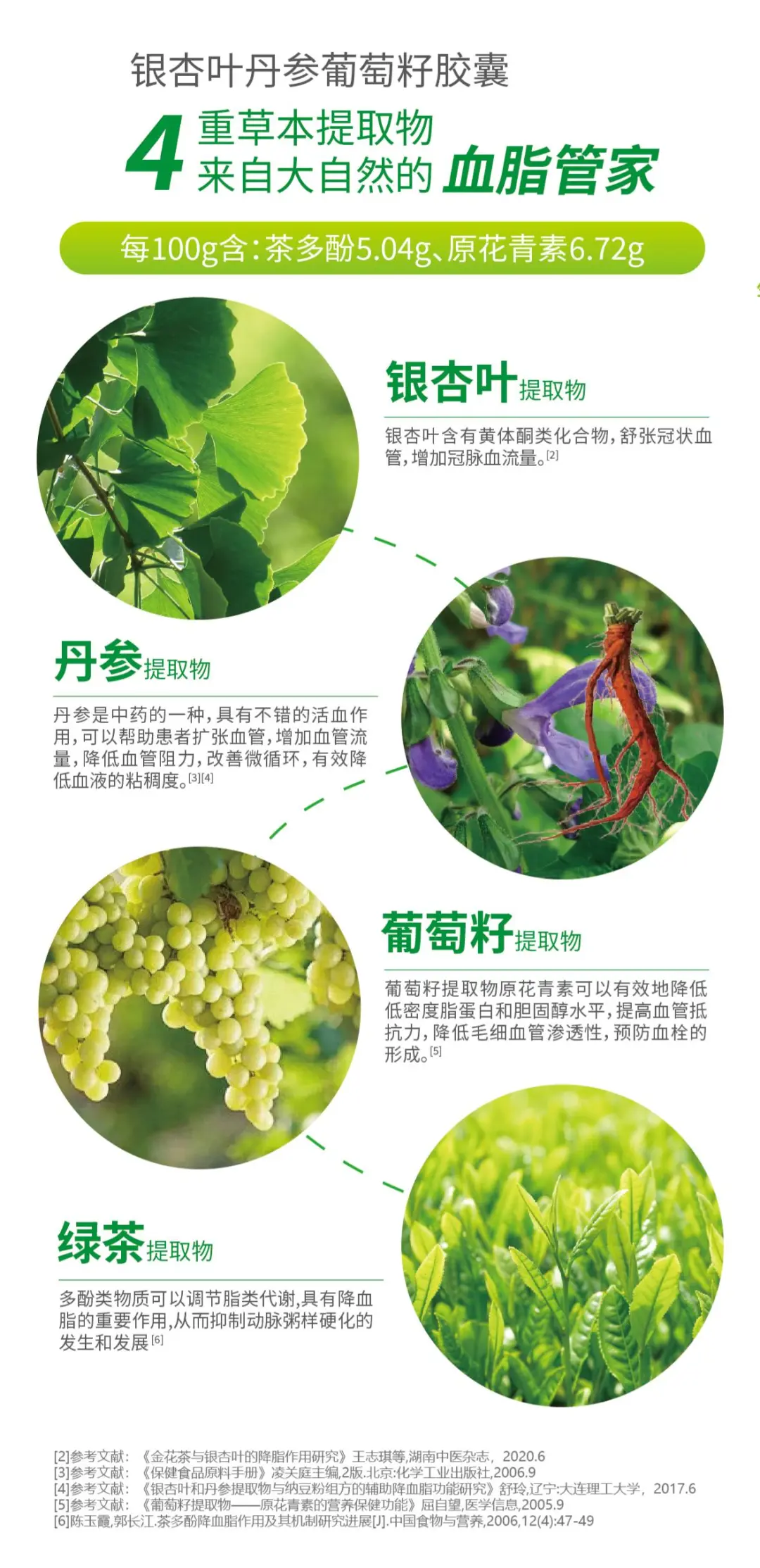 银杏叶丹参葡萄籽胶囊