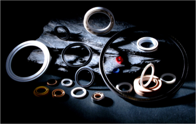 河南雙唇骨架油封橡膠油封 上海市榮耀供應(yīng)