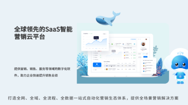 泸州低成本网络营销活动策划 创新服务 四川恒睿数智信息技术供应
