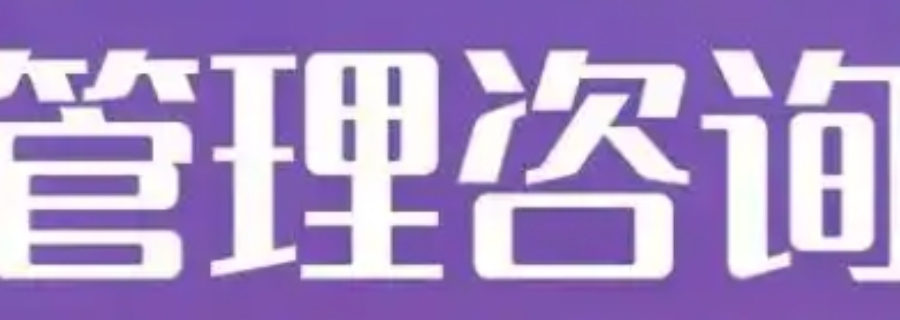 金山區(qū)信息化企業(yè)管理咨詢選擇